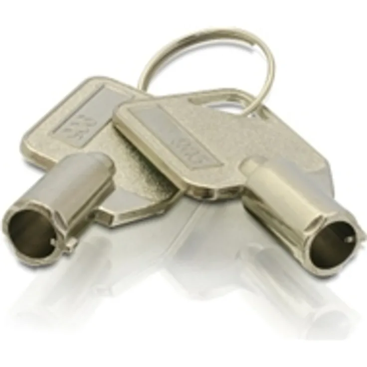 2 Stück Qnap Ersatzschlüssel für HDD Tray KEY-HDDTRAY-01