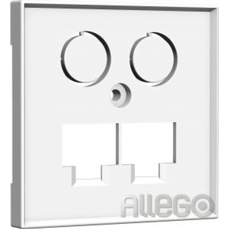 Homeway Zentralplatte 55x55mm rws TV+LAN-LAN 55x55