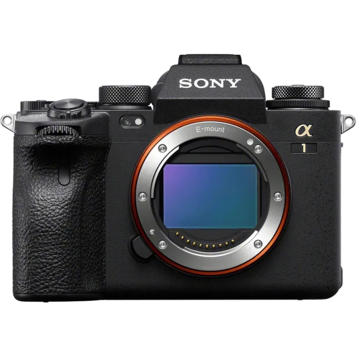 Sony Alpha 1 (1) + Samyang AF 24-70mm f2,8 FE – Bild 2
