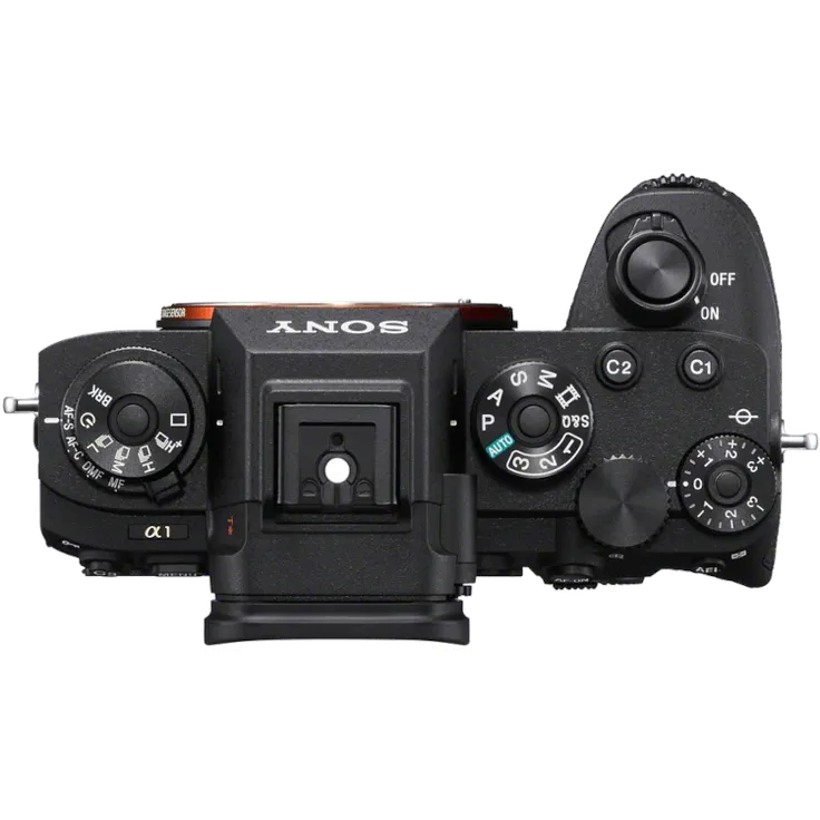 Sony Alpha 1 (1) + Samyang AF 24-70mm f2,8 FE – Bild 5