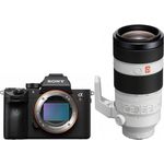 Sony Alpha 7R IVA + 100-400mm f4,5-5,6 GM