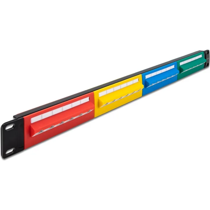 Delock 19''  Patchpanel 24 Port Cat.5e 1 HE farbig