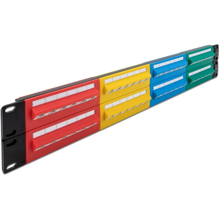 Delock 19''  Patchpanel 48 Port Cat.5e 2 HE farbig