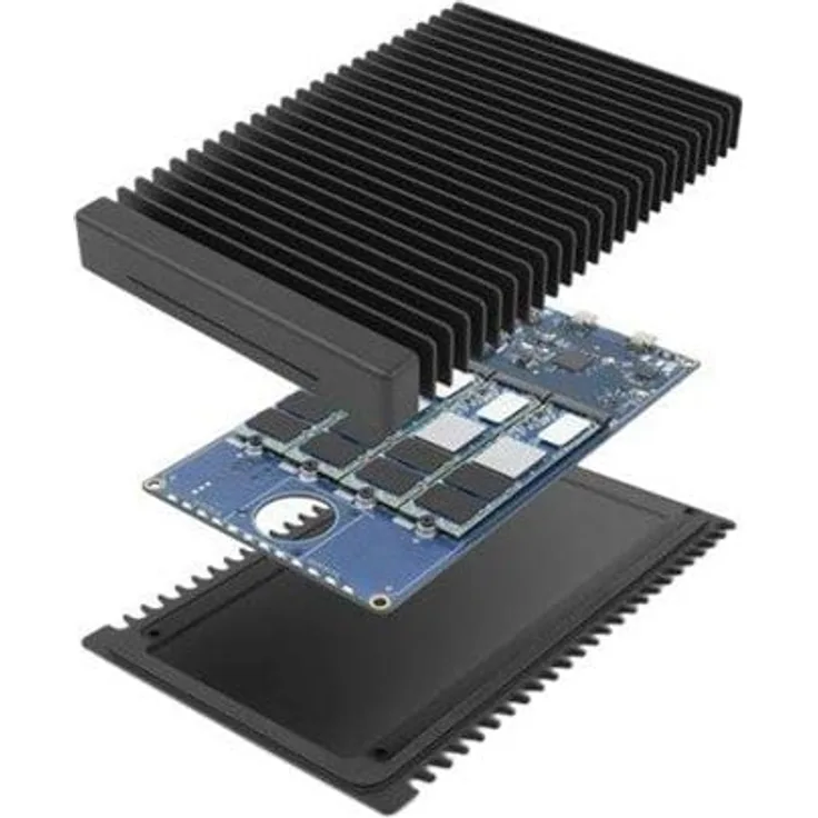 OWC ThunderBlade - SSD - 16 TB - Thunderbolt 3