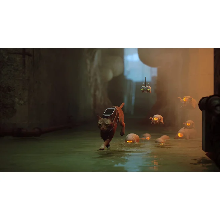 Stray (PS5) – Bild 3