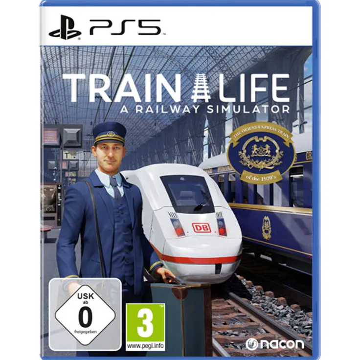 Train Life: A Railway Simulator (PS5)