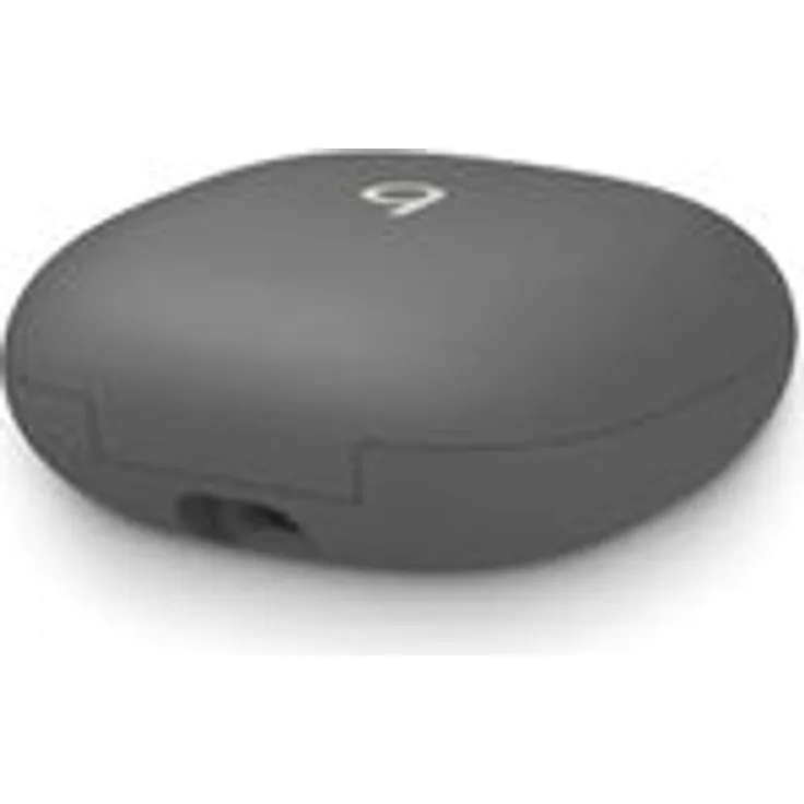 Fit Beat Pro Ladecase in salbeigrau Ersatz, nur Fit Beats Ladecase einzeln inkl. Webdigital Hilfevideo