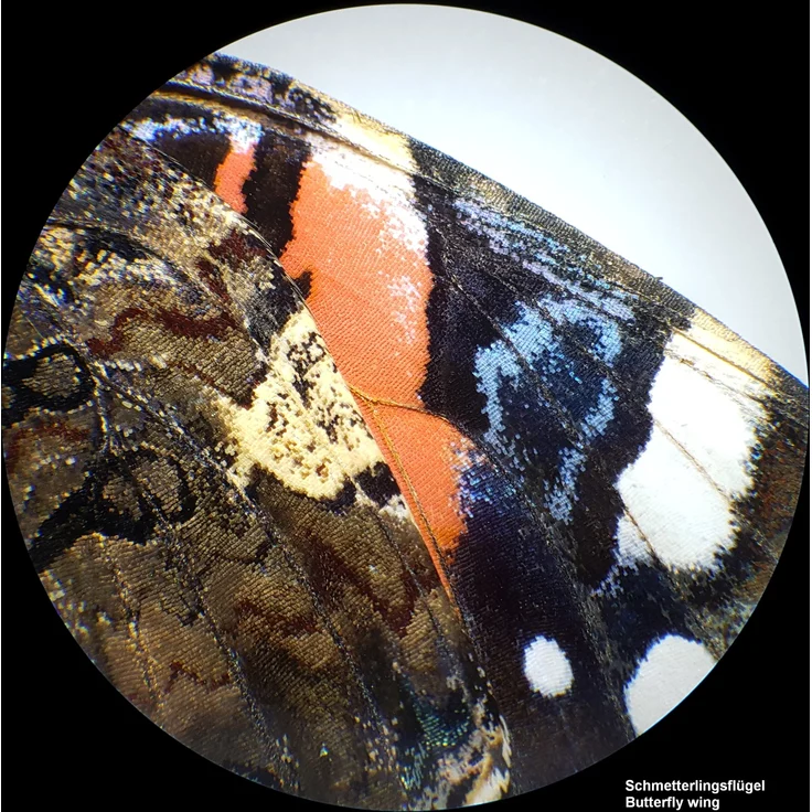 BRESSER Analyth STR 10x - 40x Stereo Auflicht- und Durchlicht Mikroskop – Bild 2