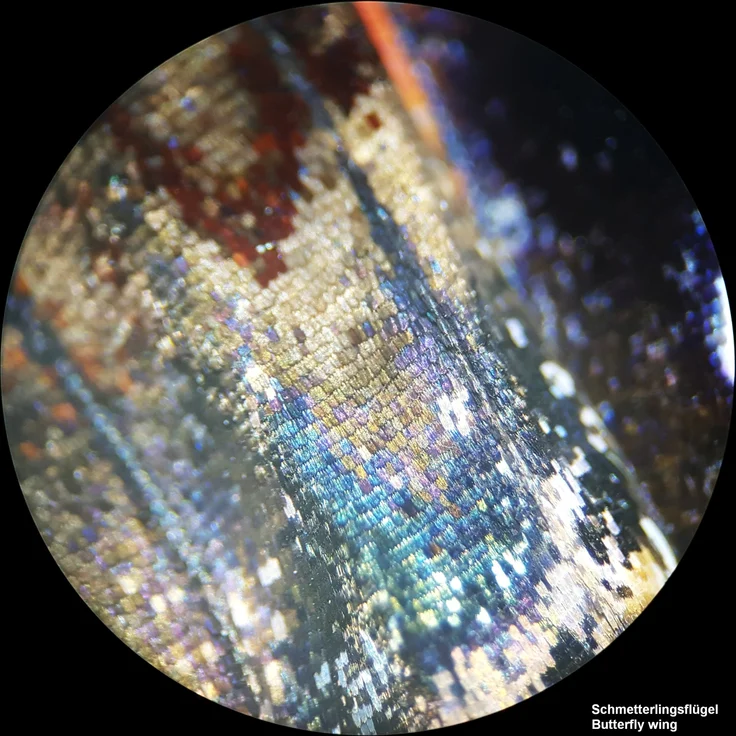 BRESSER Analyth STR 10x - 40x Stereo Auflicht- und Durchlicht Mikroskop – Bild 4