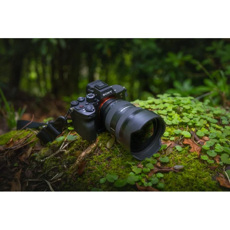 Sony Alpha 7R V Vollformat-Systemkamera (61 MP, 8K/24p, WLAN, Bluetooth, 2 Karten-Slots) Gehäuse , schwarz – Bild 5