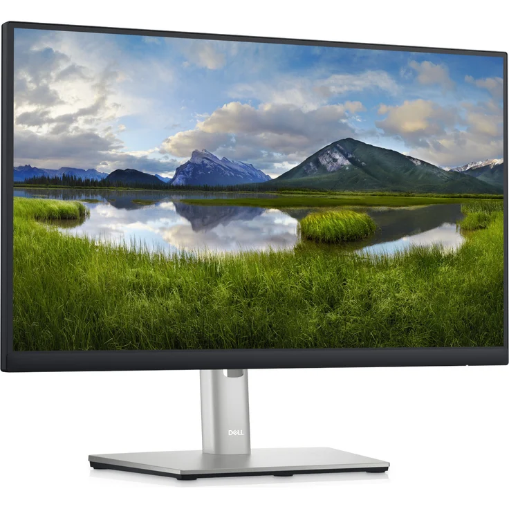 Dell P2223HC - 22 Zoll (1920 x 1080 Pixel), 60 Hz, 5 ms, 250 cd/m² (210-BDFR) – Bild 10
