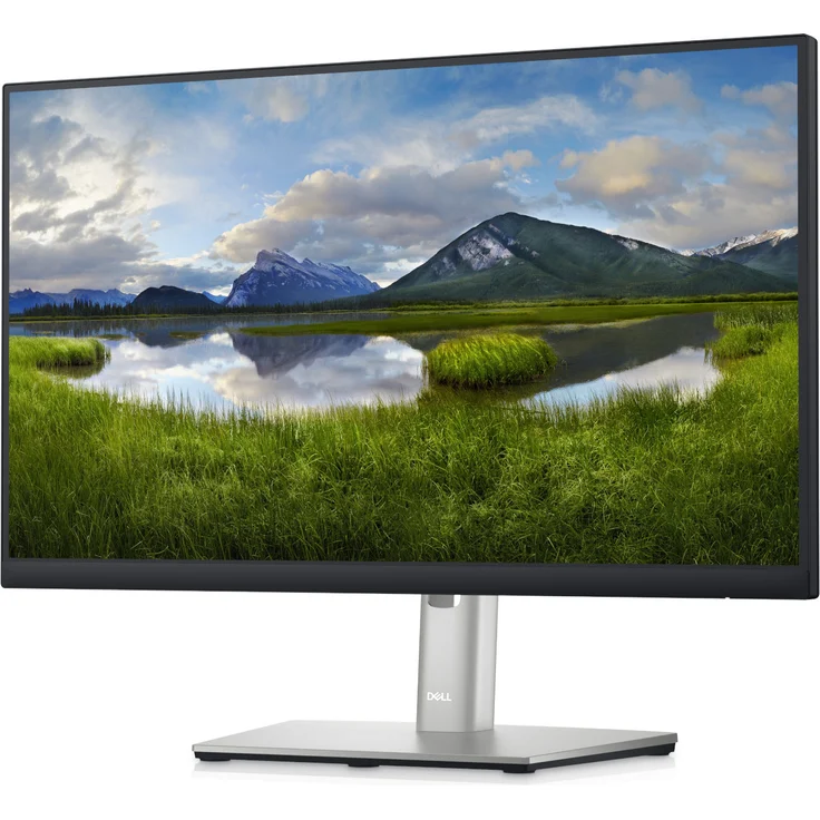 Dell P2223HC - 22 Zoll (1920 x 1080 Pixel), 60 Hz, 5 ms, 250 cd/m² (210-BDFR) – Bild 5