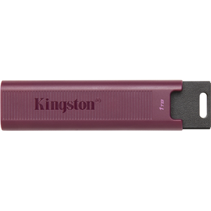 Bild für Kingston DataTraveler Max