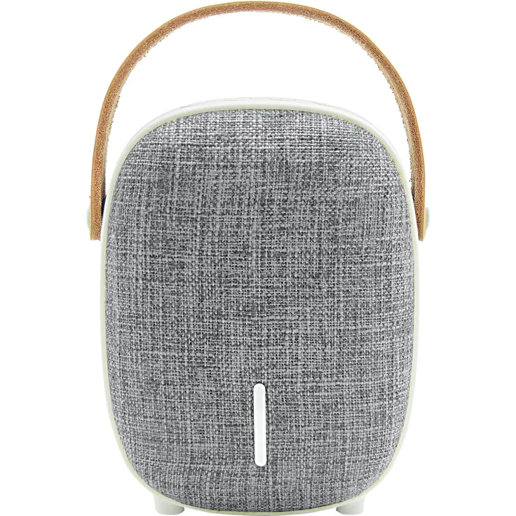 Leicke DJ Roxxx Venus Bluetooth Lautsprecher, grau