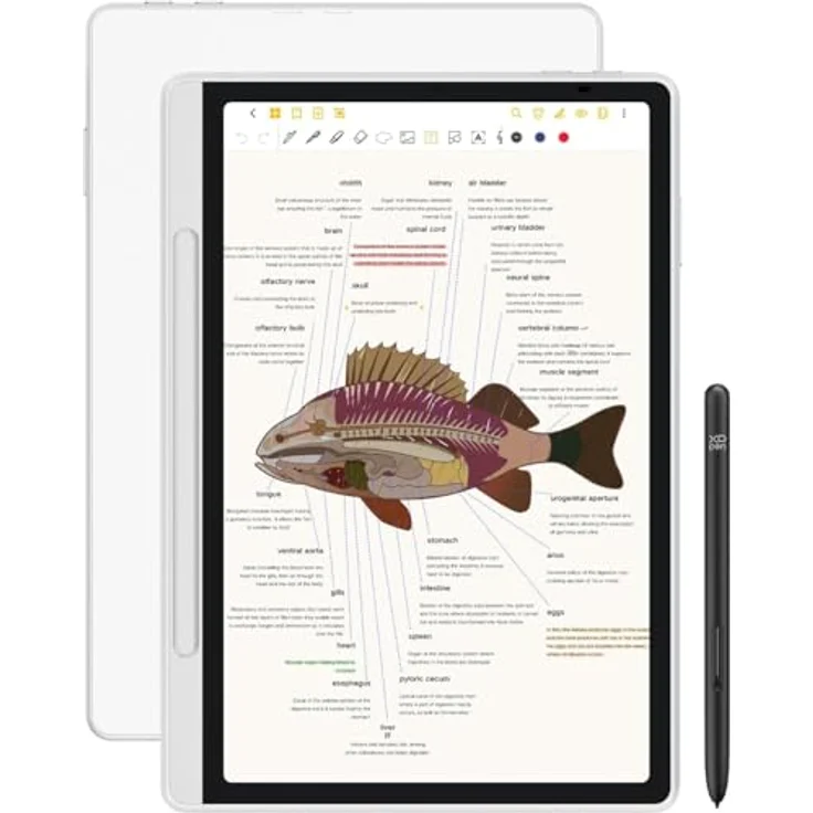 XP-Pen Magic Note Pad 10,95 Zoll E-Book Reader mit X3 Pro 16384 Druckstufen Stift, 128 GB Speicher, Android 14, 3-in-1-Display – Bild 1