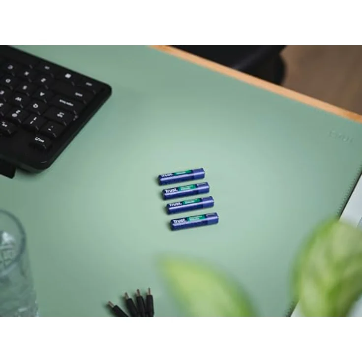Trust USB-C Wiederaufladbare AAA Batterien, 4er-Pack mit 500 mAh, Schnellladung, grüner LED-Akkustatusanzeige, USB-Kabel enthalten – Bild 5