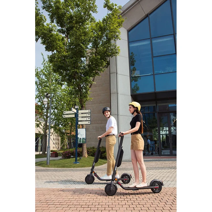 Ninebot by Segway E45D E-Scooter, mit Straßenzulassung, Grau, 20 km/h – Bild 6
