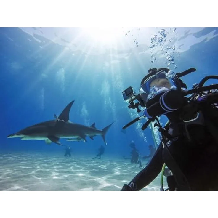 GoPro Schutzgehäuse für HERO8 Black (Offizielles GoPro Zubehör) - Preisvergleich – Bild 5