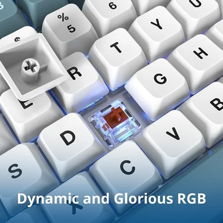 Montech MKey TKL Mechanische Gaming-Tastatur: anpassbare RGB-LED, Premium-MDA-PBT-Tastenkappe, Hot-Swappable Gateron G Brown Pro 2.0 vorgeschmierte Schalter, Osaka Castle Theme, Freiheit (MK87FB) – Bild 4