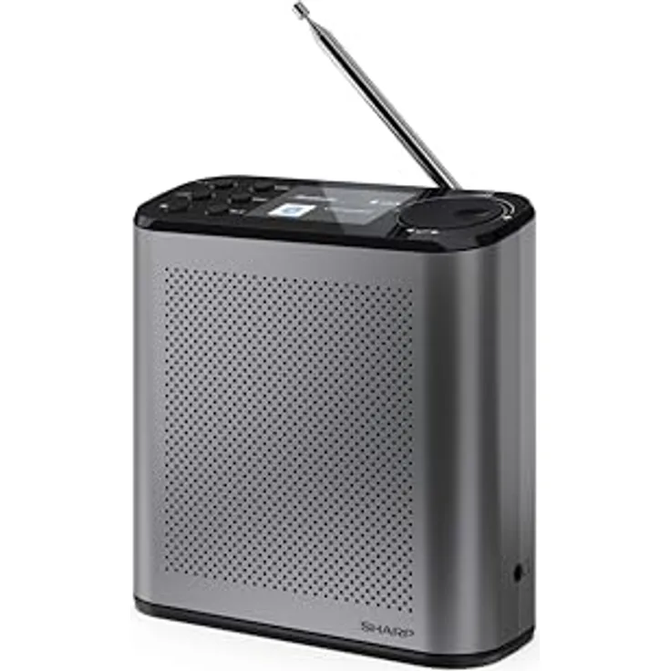 Sharp DR-P530 DAB+ Radio, tragbar mit Bluetooth 5.3, 120 Sender-Speicherplätzen und 2,4 Zoll Farbdisplay, Grau