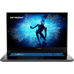 ERAZER Defender P50 43,9 cm (17,3" Zoll 100% sRGB 144Hz) Full HD Gaming Laptop (Intel Core i7-13620H, 16GB DDR4 RAM, 1TB SSD, GeForce RTX 4060 8GB GDDR6, Win 11 Home)