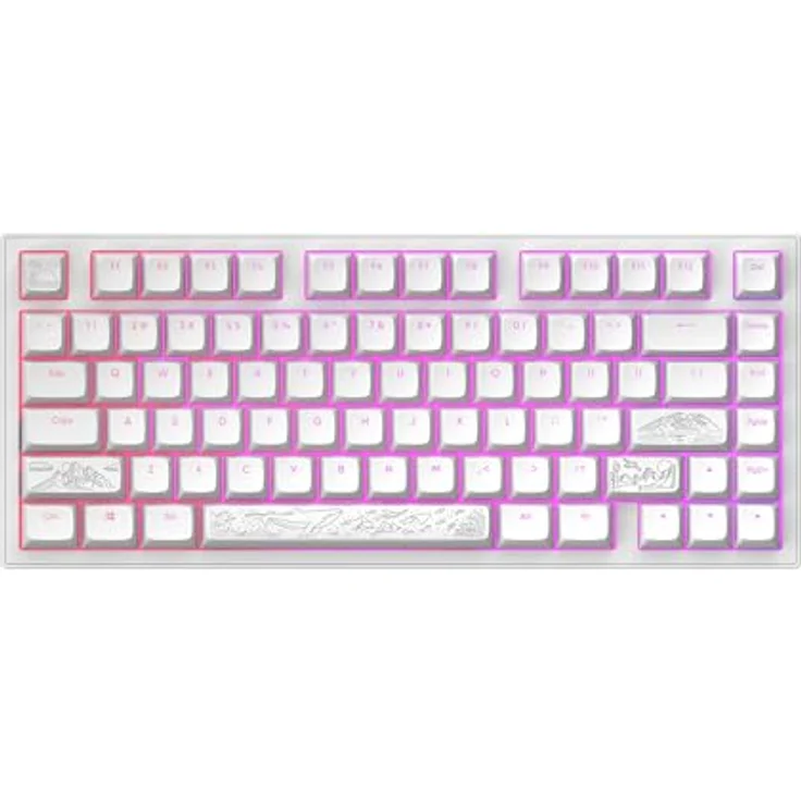 Dark Project ALU81A Terra Nostra Mechanische Gaming-Tastatur | ANSI ENG | G3MS Moonstone Schalter | Flex Gasket Mount | Aluminium | RGB – Bild 4