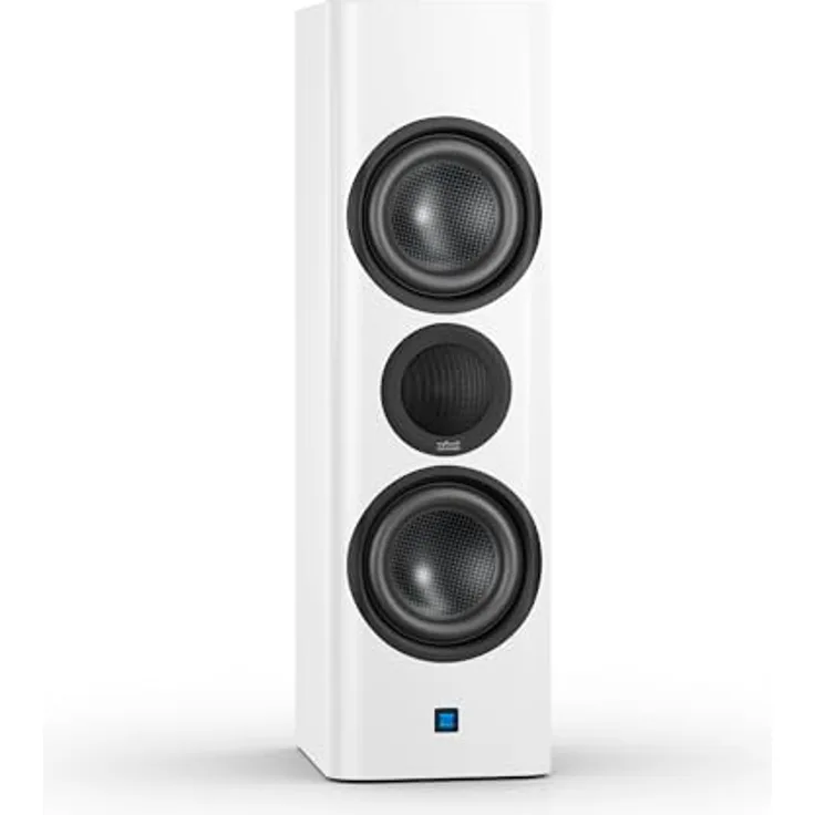 Nubert nuZeo 6, Weißer aktiver Kompaktlautsprecher mit 2-Wege System, integrierten Verstärker und Funk-Ansteuerung, Referenzklasse für maximale Klangtreue