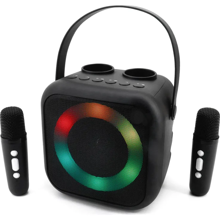 Soundmaster BT2024SW Karaoke-Anlage Inkl. Mikrofon, wiederaufladbar Schwarz, Bluetooth Lautsprecher