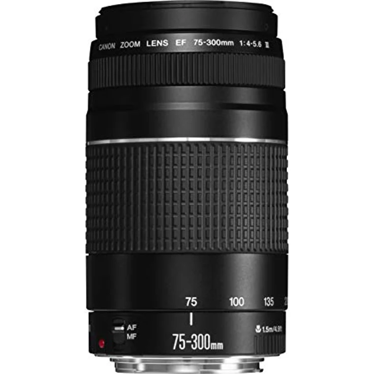 Canon EF 75-300 mm, f/4,0-5,6 III USM – Bild 2