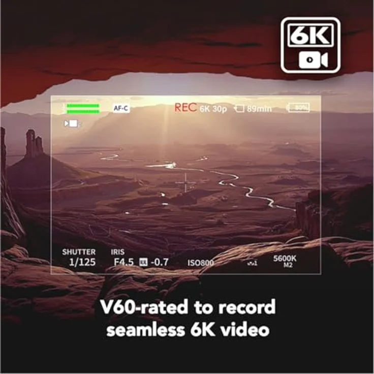 Lexar SDXC Pro Gold Series ARMOR UHS-II V60, 512 GB Speicherkarte mit Edelstahlkern, IP68, 280 MB/s Lesegeschwindigkeit, wasserdicht und stoßfest – Bild 6