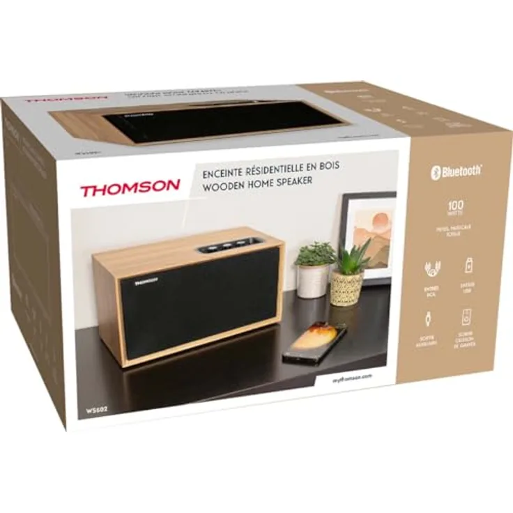 THOMSON - Coluna WS502, Bluetooth-Lautsprecher mit 100 Watt Gesamtmusikleistung, schwarz