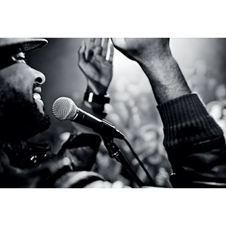 Shure SM58SE Dynamisches Gesangsmikrofon mit Nierencharakteristik und An/Aus-Schalter für professionelle Live-Auftritte und Studioaufnahmen - (Kein Kabel enthalten) – Bild 5