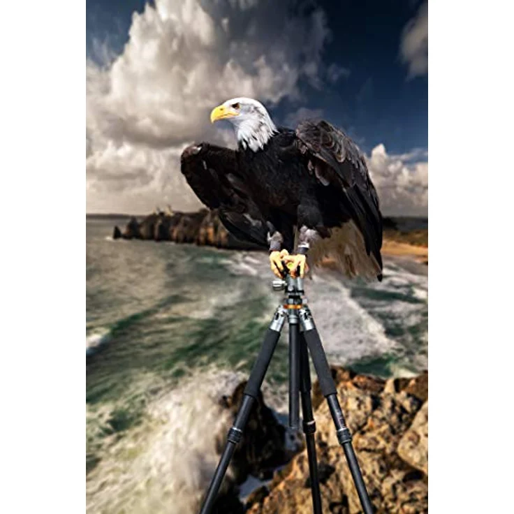 Rollei Lion Rock 30 Mark II, Carbon Stativ, professionelles Kamera Stativ 30 kg Tragkraft, ideal für Landschaftsfotografie, perfekt für Spiegelreflexkameras, 11 lagiges Carbon mit integrierten Spikes – Bild 4
