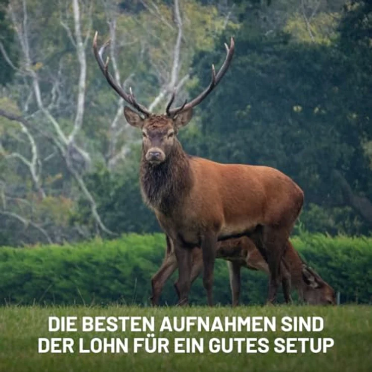 icuserver ICU CLOM FlexMount, flexible Universalhalterung für Wild- und Überwachungskameras, 1/4 Zoll Gewinde, wetterfest und bis zu 10 kg Tragkraft – Bild 4