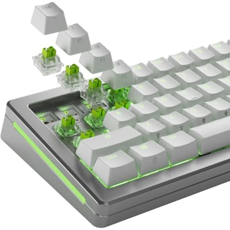 Glorious Raptor HE Standard Switch, Hall-Effekt, clicky, MX-Stem, 55g - lubed, 36 Stück – Bild 6