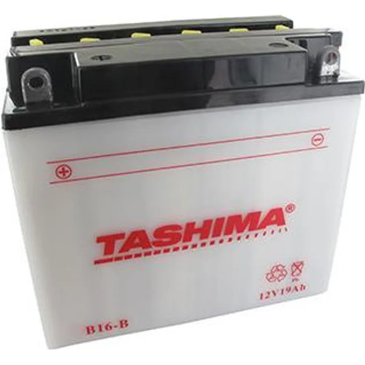 AUTRES Batterie Bleisäure Tashima Verstärkt 12V, 19Ah für Rasentraktor, Maße L: 175 mm, B: 100 mm, H: 155 mm, mit Links für Motorräder und Jet-Ski (inkl. Lieferung)