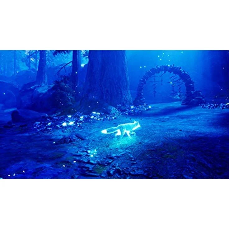 Spirit of the North (Switch) – Bild 6