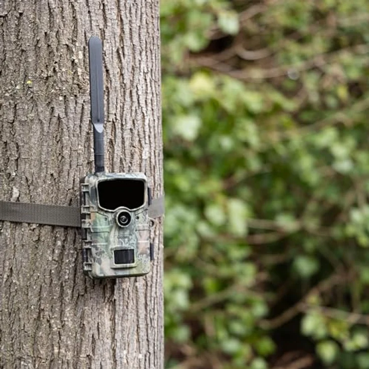 Rollei Wildkamera 4G, 24 MP Full-HD Kamera mit IPS-LCD Farbdisplay und App-Steuerung – Bild 3