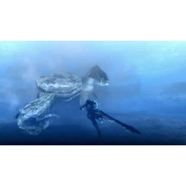 Monster Hunter Tri (Wii) – Bild 5