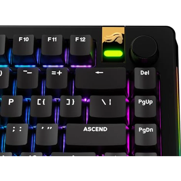 Glorious GPBT Basics Keycaps, ANSI Layout (US), PBT, Doubleshot - Classic Black – Bild 7