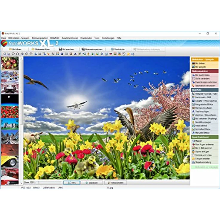 Fotoworks XL 2 (2024er Version) Bildbearbeitungsprogramm zur Bildbearbeitung in Deutsch - umfangreiche Funktionen, sehr einfach zu bedienen, kinderleicht Fotos bearbeiten im Fotobearbeitungsprogramm – Bild 2