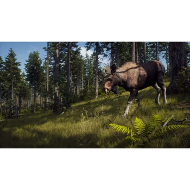 THQ Nordic Way of the Hunter - PC, realistisches Jagdsimulationsspiel mit Team-Modus, 2 große Jagdgebiete á 140 km², rückspulbare Geschosskamera, komplexes Trophäensystem – Bild 2