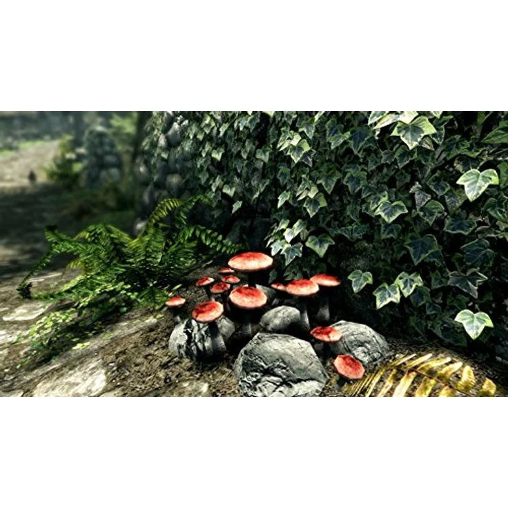 The Elder Scrolls V: Skyrim (Special Edition) (PS4) - Preisvergleich – Bild 3