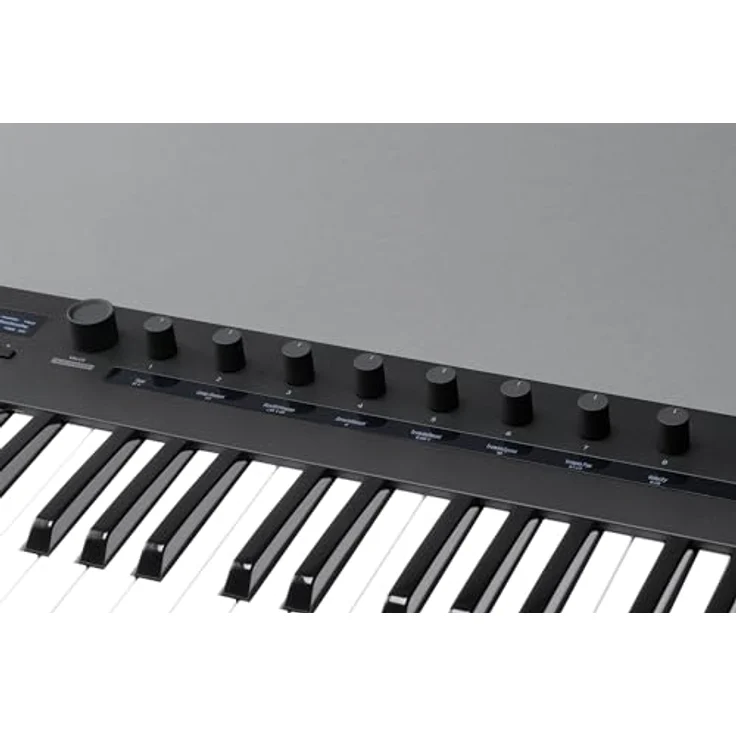 KORG KEYSTAGE-61 Keystage 61 Key Poly AT MIDI Controller Tastatur – Schwarz, Halbgewichtete Tastatur mit Polyphonie und MPE – Bild 5