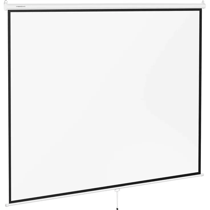 Fromm & Starck Beamer Leinwand Heimkino Projektionsfläche Rollo Leinwand Decke 4:3 313 x 239 cm, Leinwand, Schwarz