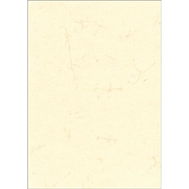 Rnk, Kopierpapier, Verlag Motivpapier Elefantenhaut chamois DIN A3 190 g/qm 10 Blatt – Bild 2