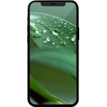 GOECO iPhone 12 Pro refurbished 128 GB 5G Smartphone, 15,5 cm (6,1 Zoll), 12 MP Dreifach Kamera, Dual Sim, Graphit