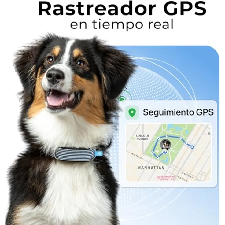 Invoxia Minitailz, GPS- und Gesundheitstracker für Hunde, Fluchtwarnungen, Atemscan, Echtzeit Ortung, USB wiederaufladbar, virtuelle Zone und Zaun – Bild 3