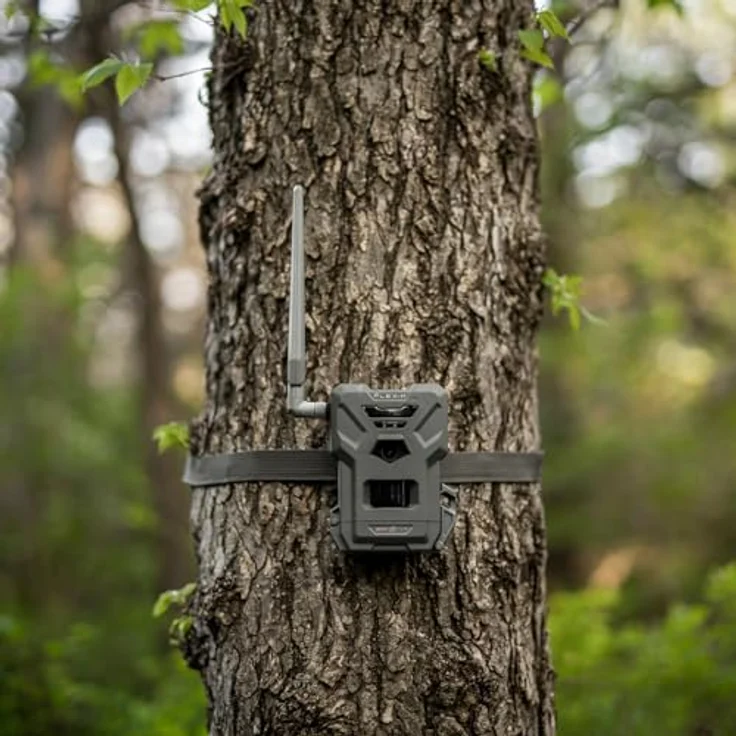 Spypoint FLEX-M Wildkamera Überwachungskamera, optimale Netzabdeckung in ganz Europa – Bild 4