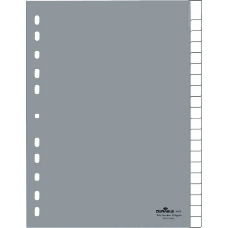 DURABLE Aktenordner, PP Werkstoff, mit glasklaren Taben, blanko, grau – Bild 1